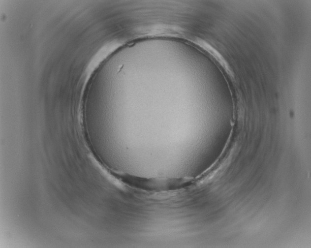 X0000075901285200610062108