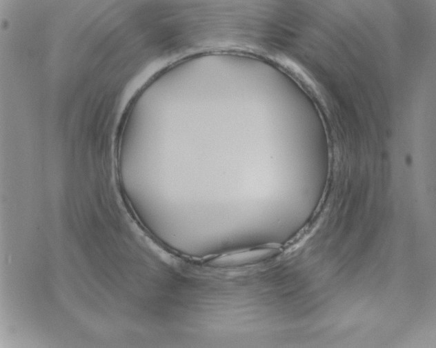 X0000075901286200610062108