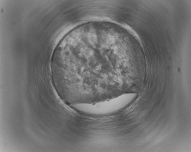 X0000075901287200610062108