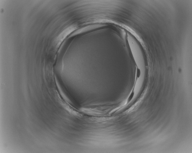 X0000075901289200610062108