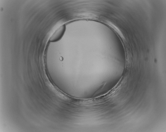 X0000075901291200610062108