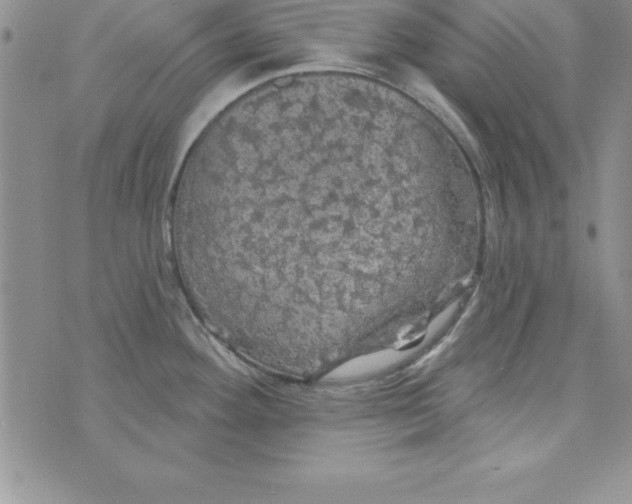 X0000075901292200610062108