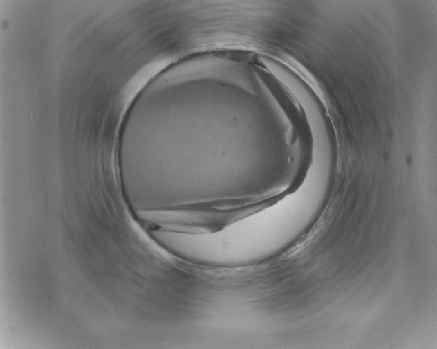 X0000075901293200610062108