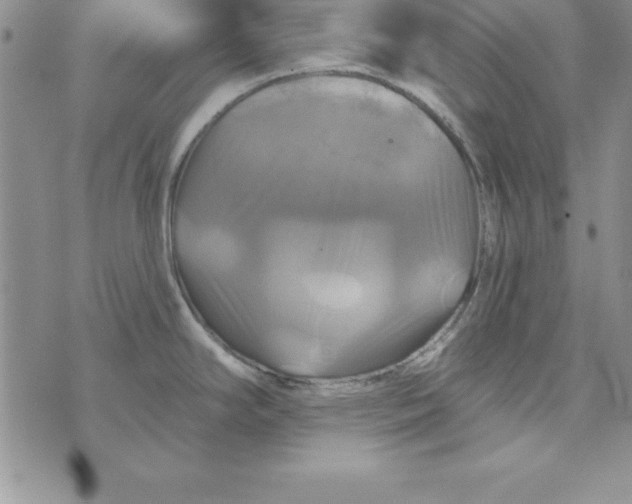 X0000075901294200610062108