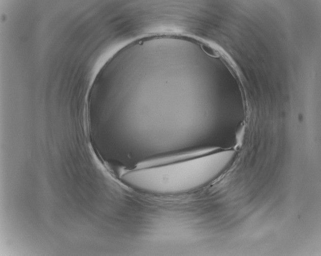 X0000075901295200610062108