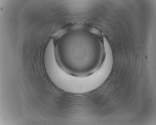 X0000075901297200610062107