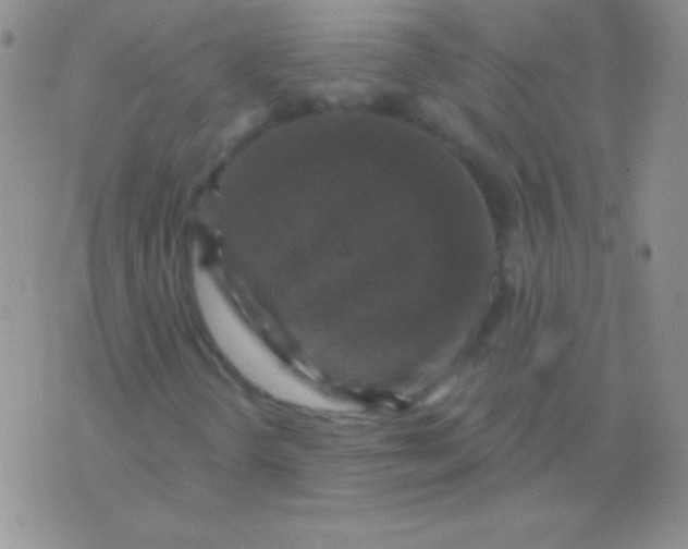 X0000075901298200610062107