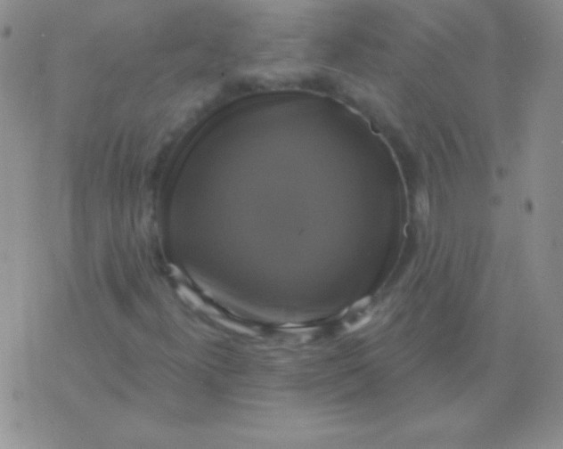 X0000075901300200610062107