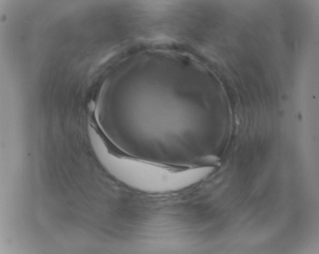 X0000075901301200610062107