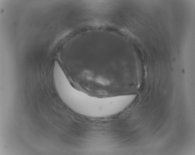 X0000075901302200610062107