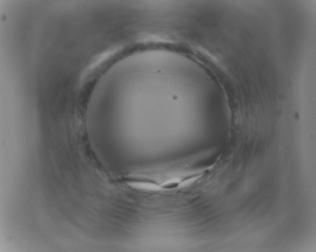 X0000075901303200610062108