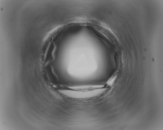 X0000075901304200610062108