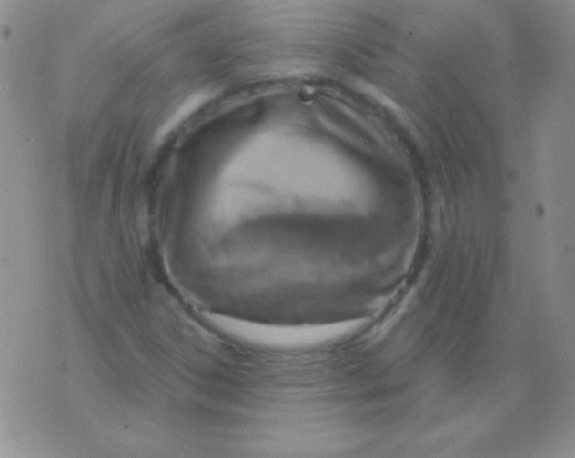 X0000075901306200610062108