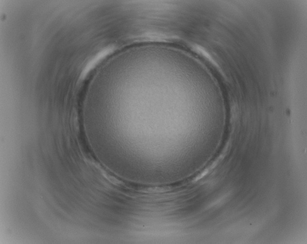 X0000075901307200610062108