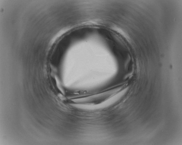 X0000075901308200610062108