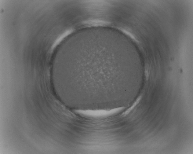 X0000075901309200610062108