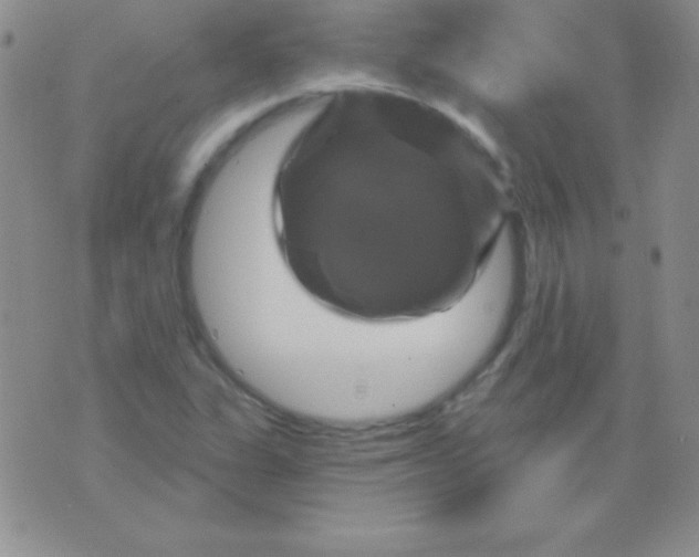 X0000075901311200610062108