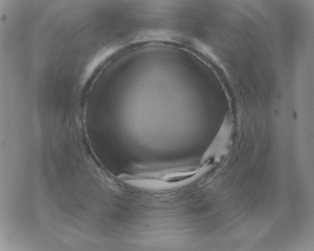 X0000075901312200610062108