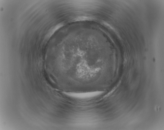 X0000075901313200610062108