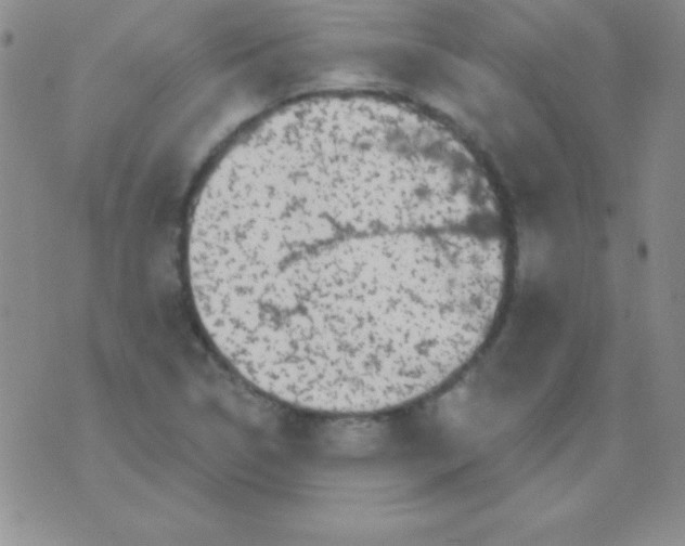 X0000075901314200610062108