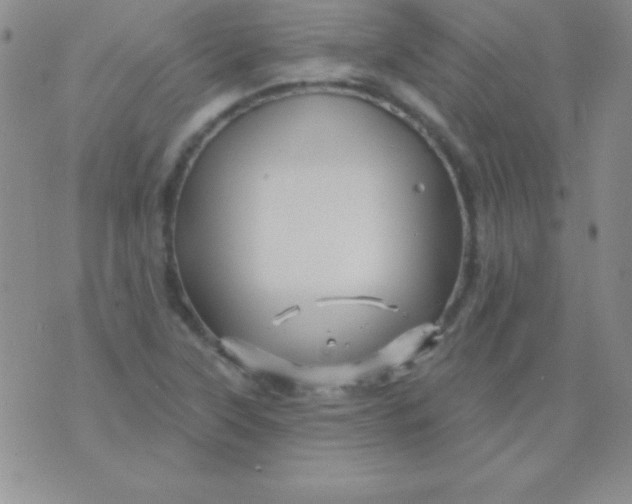 X0000075901315200610062108