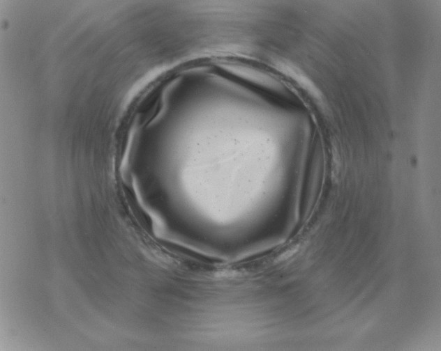 X0000075901316200610062108