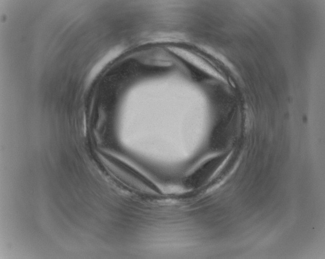 X0000075901317200610062108