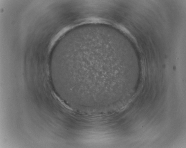 X0000075901318200610062108