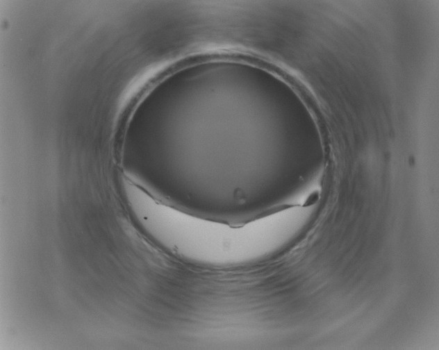 X0000075901319200610062108