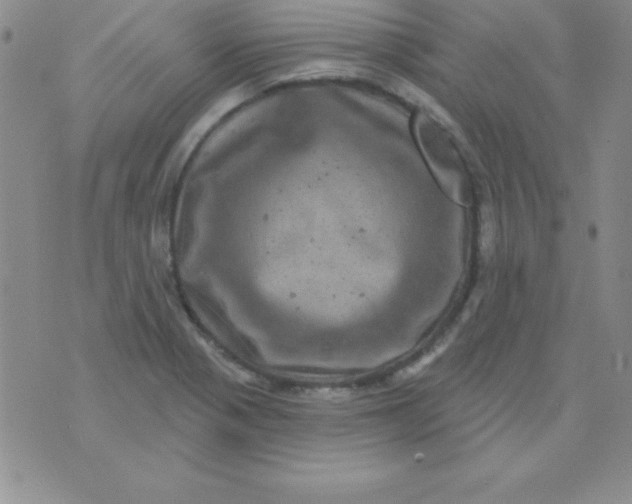 X0000075901321200610062108