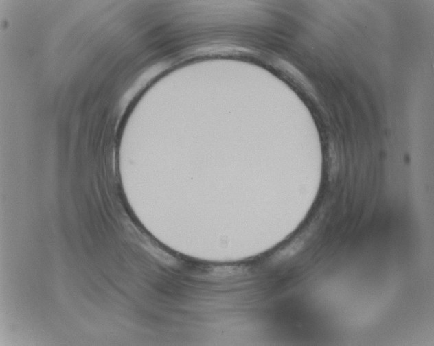 X0000075901322200610062108