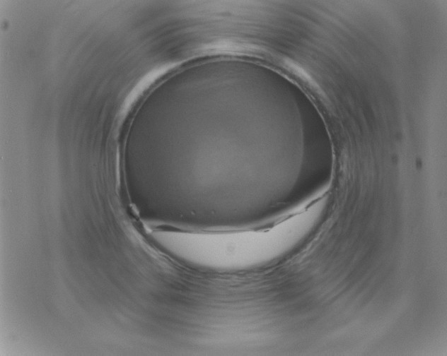 X0000075901323200610062108