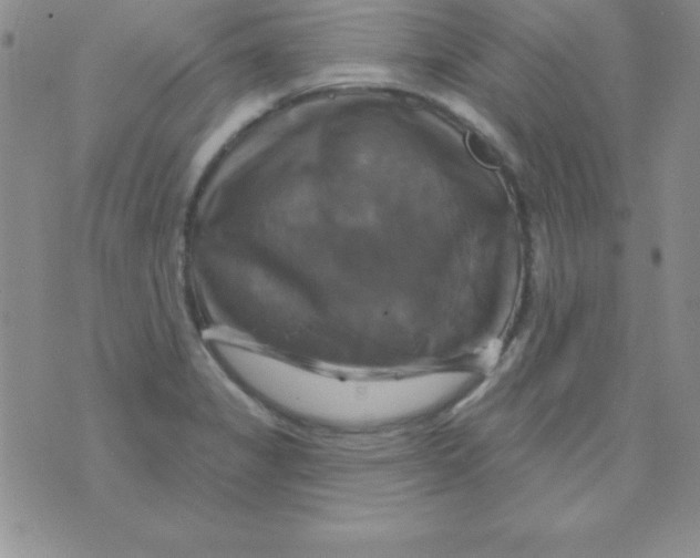 X0000075901325200610062108