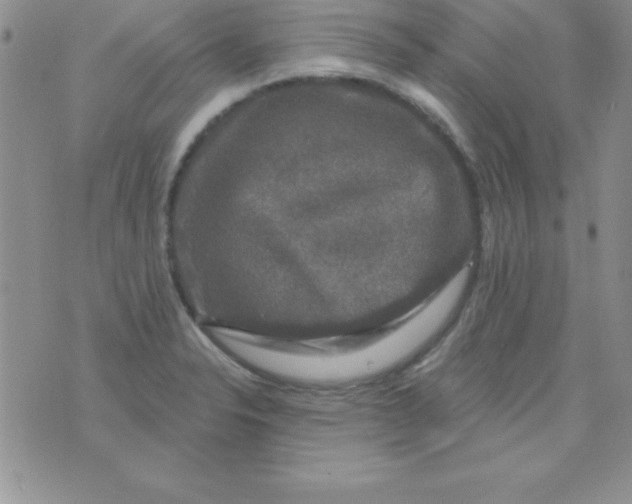 X0000075901326200610062108