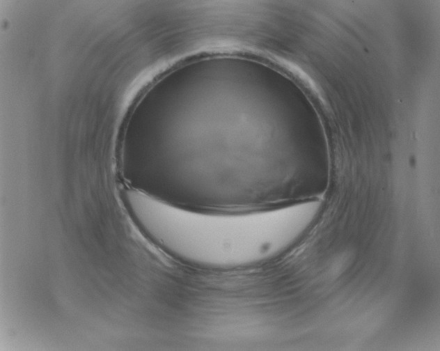 X0000075901327200610062108