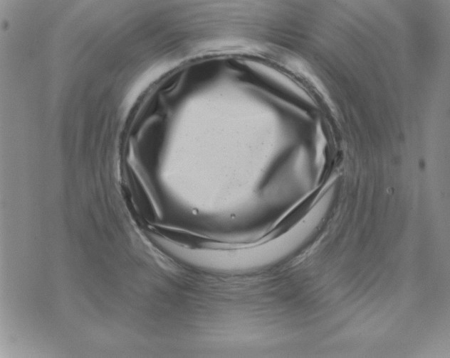 X0000075901328200610062108