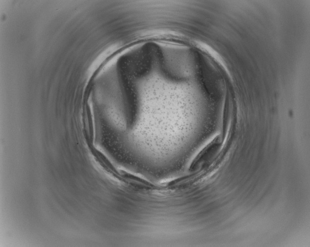 X0000075901330200610062108