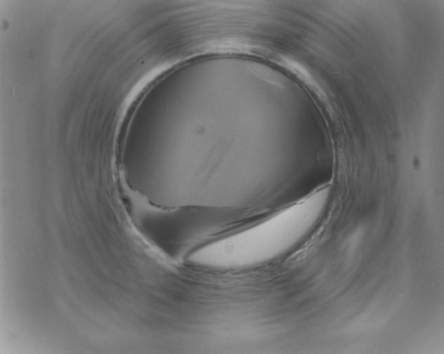 X0000075901331200610062108