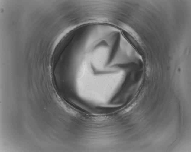 X0000075901332200610062108