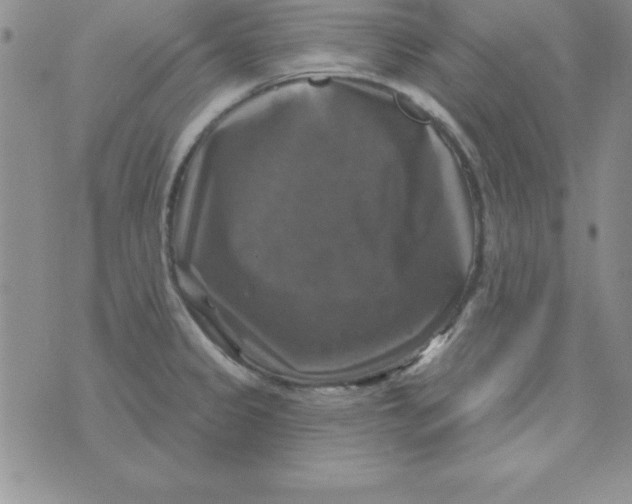 X0000075901333200610062108