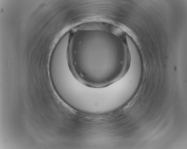 X0000075901334200610062108