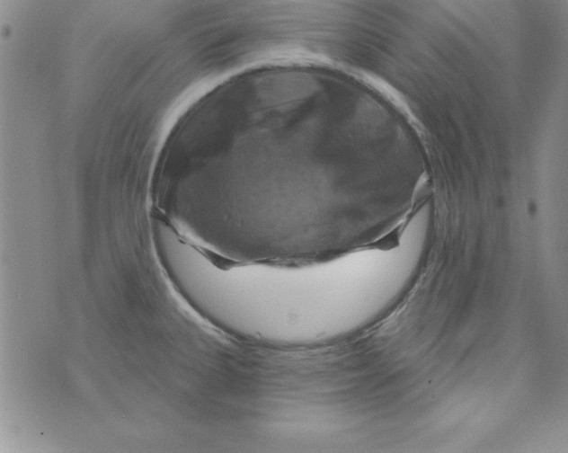 X0000075901335200610062108