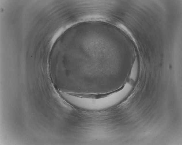 X0000075901336200610062108