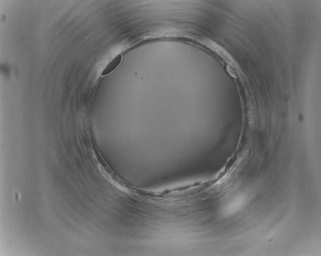 X0000075901337200610062108