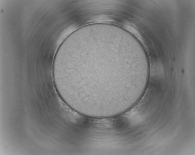 X0000075901338200610062108