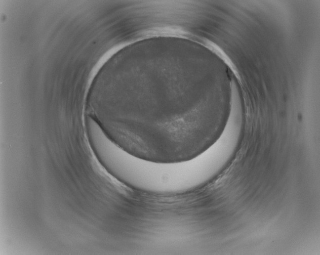 X0000075901339200610062108