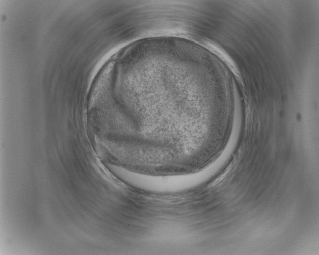 X0000075901340200610062108