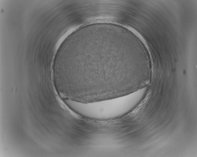 X0000075901341200610062108