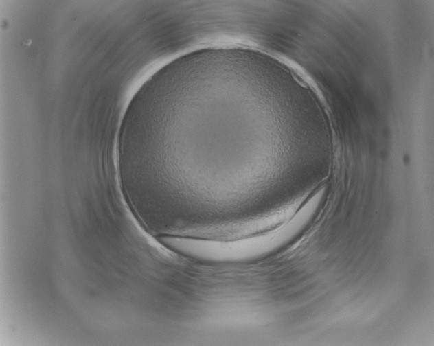 X0000075901343200610062108