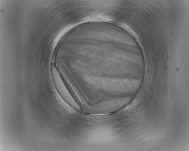 X0000075901344200610062108